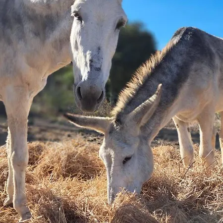 Ao Sabor Do Vento Aljezur